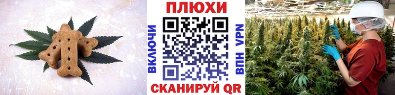 сколько стоит  Шахунья  Canna-Cookies конопля 