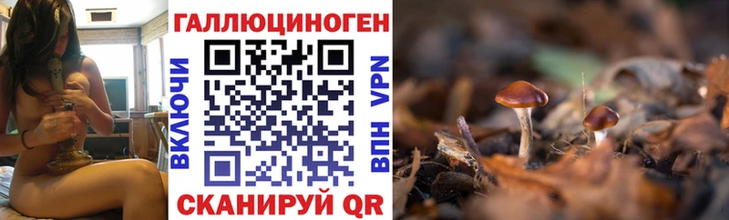 где найти   даркнет формула  Галлюциногенные грибы мицелий  Шахунья 